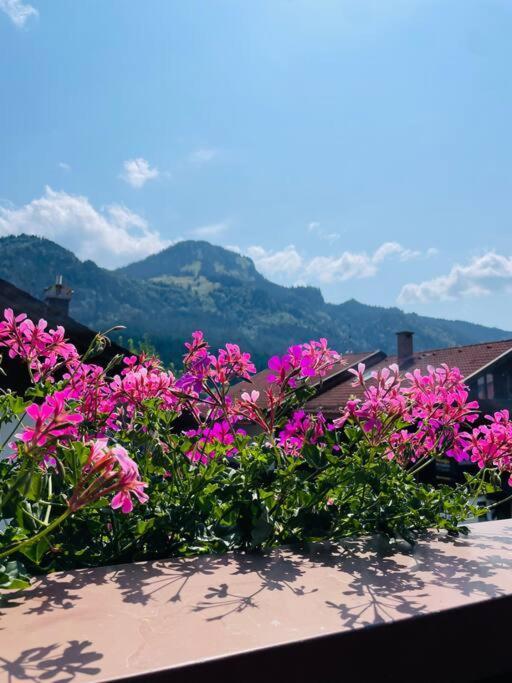 Berge, Wandern, Erholung Pur! Fewo Tinka-Haus Katja Bad Hindelang Extérieur photo